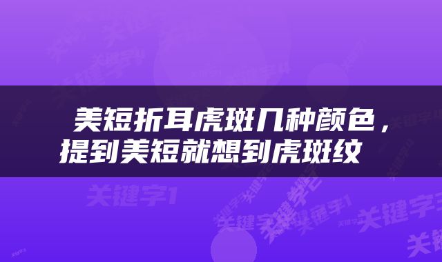  美短折耳虎斑几种颜色，提到美短就想到虎斑纹 