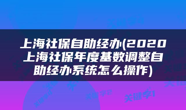 上海社保自助经办(2020上海社保年度基数调整自助经办系统怎么操作)