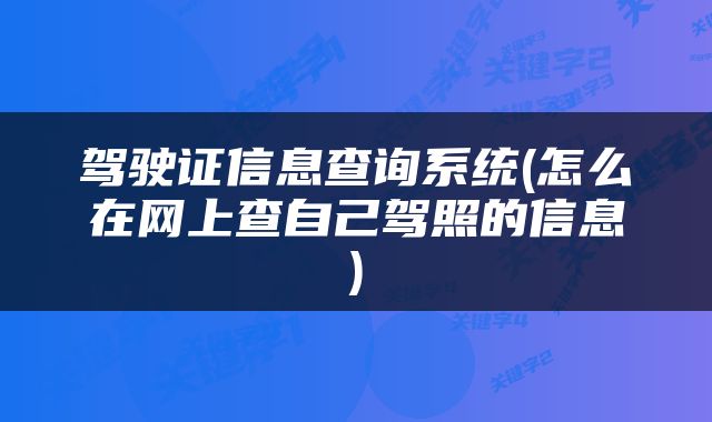 驾驶证信息查询系统(怎么在网上查自己驾照的信息)