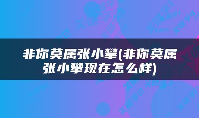 非你莫属张小攀(非你莫属张小攀现在怎么样)