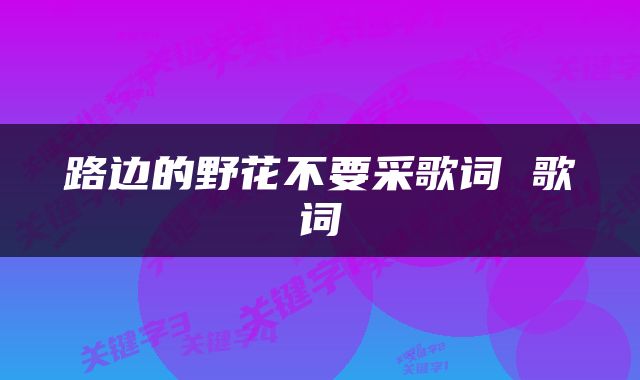 路边的野花不要采歌词 歌词