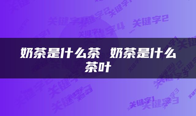 奶茶是什么茶 奶茶是什么茶叶