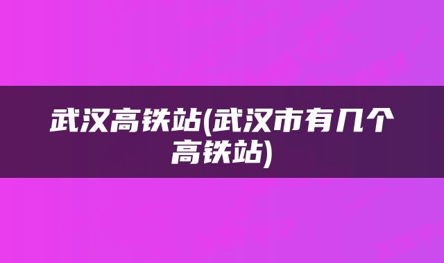 武汉高铁站(武汉市有几个高铁站)