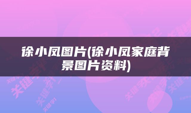 徐小凤图片(徐小凤家庭背景图片资料)