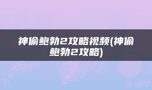 神偷鲍勃2攻略视频(神偷鲍勃2攻略)