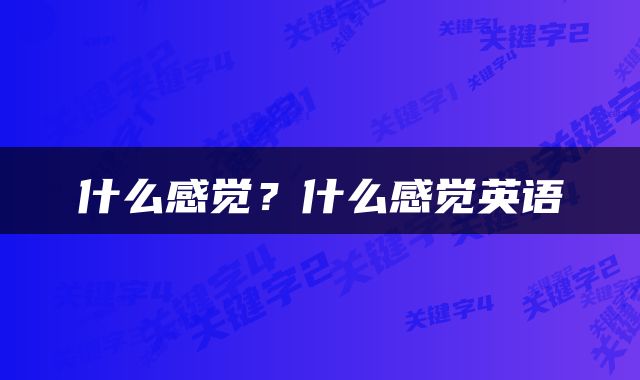 什么感觉？什么感觉英语