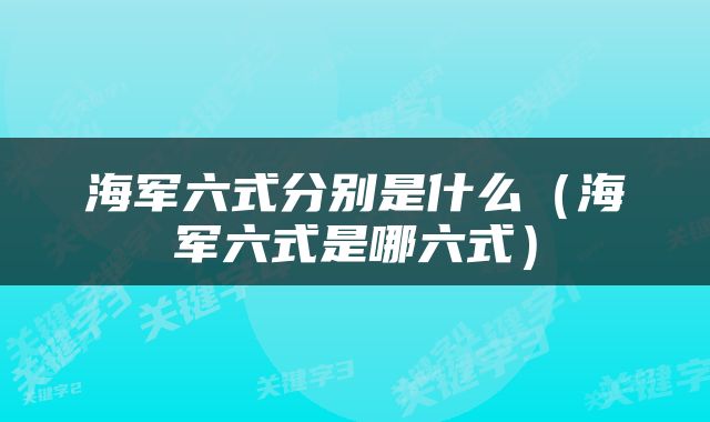 海军六式分别是什么（海军六式是哪六式）