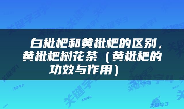  白枇杷和黄枇杷的区别，黄枇杷树花茶（黄枇杷的功效与作用） 