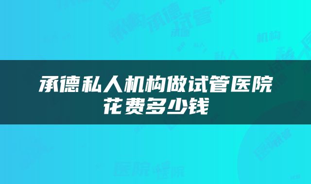 承德私人机构做试管医院花费多少钱