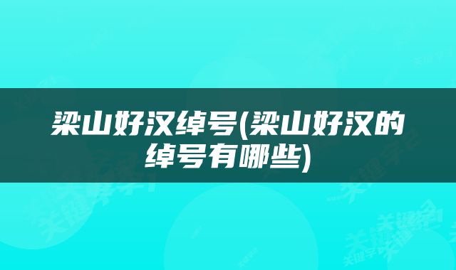 梁山好汉绰号(梁山好汉的绰号有哪些)