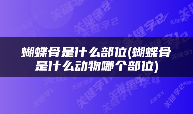 蝴蝶骨是什么部位(蝴蝶骨是什么动物哪个部位)