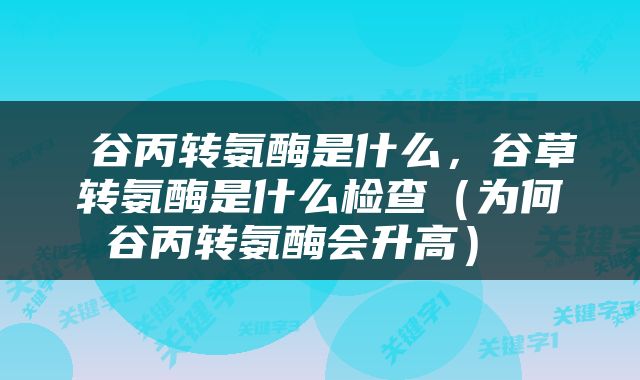  谷丙转氨酶是什么，谷草转氨酶是什么检查（为何谷丙转氨酶会升高） 