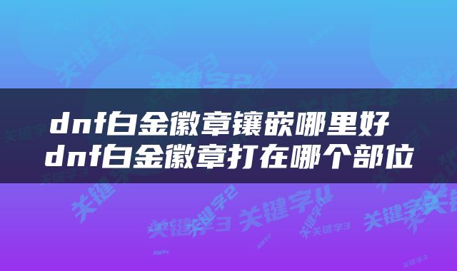 dnf白金徽章镶嵌哪里好 dnf白金徽章打在哪个部位