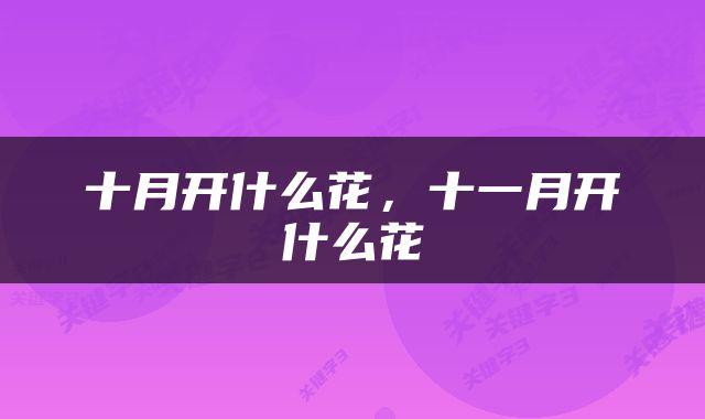 十月开什么花，十一月开什么花