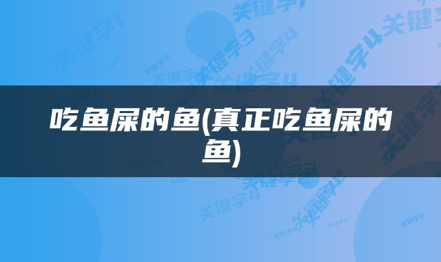 吃鱼屎的鱼(真正吃鱼屎的鱼)
