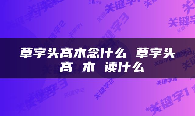 草字头高木念什么 草字头 高 木 读什么
