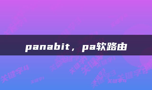  panabit，pa软路由 