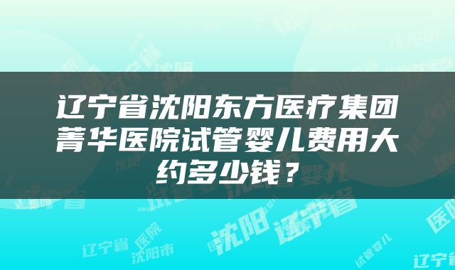 辽宁省沈阳东方医疗集团菁华医院试管婴儿费用大约多少钱？
