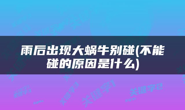 雨后出现大蜗牛别碰(不能碰的原因是什么)
