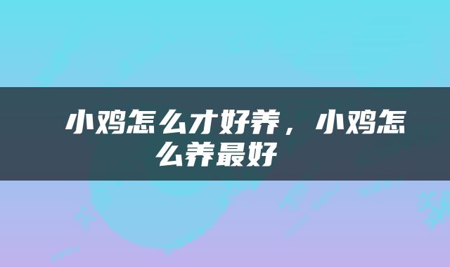  小鸡怎么才好养，小鸡怎么养最好 