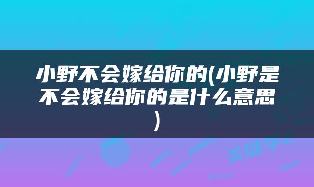 小野不会嫁给你的(小野是不会嫁给你的是什么意思)