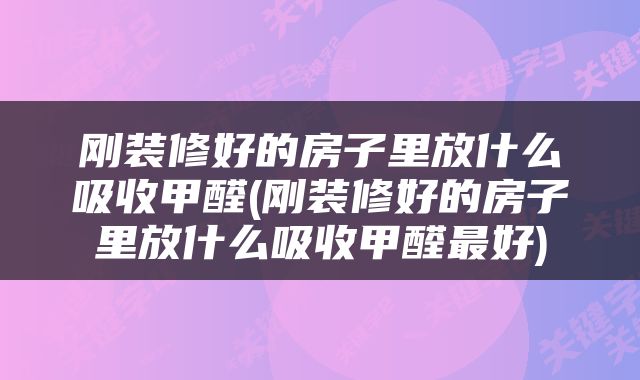刚装修好的房子里放什么吸收甲醛(刚装修好的房子里放什么吸收甲醛最好)