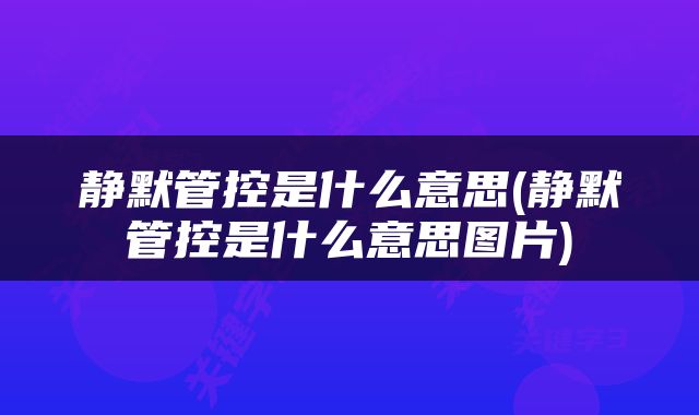 静默管控是什么意思(静默管控是什么意思图片)