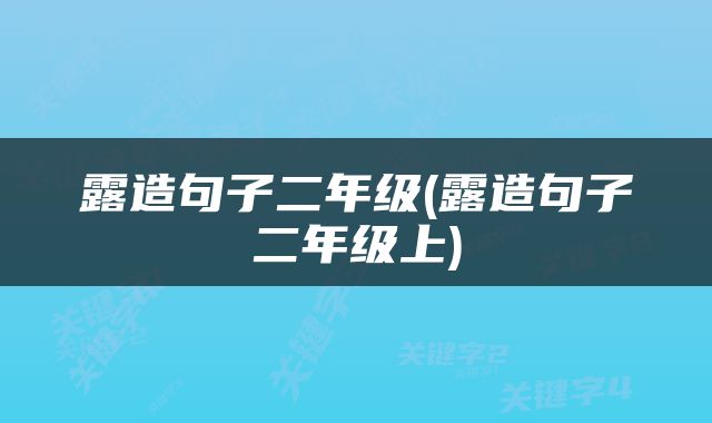 露造句子二年级(露造句子二年级上)