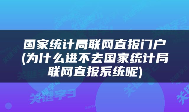 国家统计局联网直报门户(为什么进不去国家统计局联网直报系统呢)