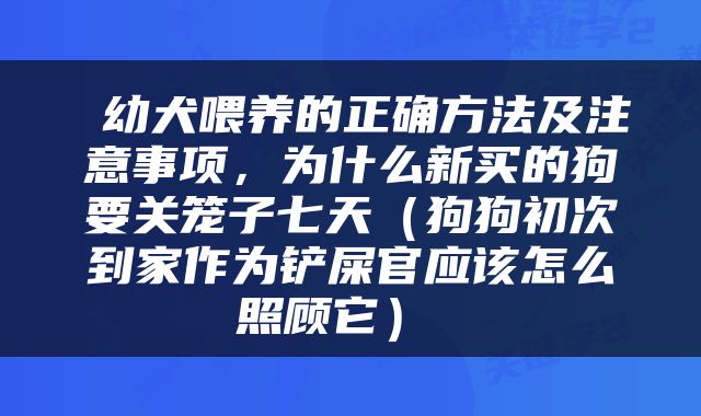  幼犬喂养的正确方法及注意事项，为什么新买的狗要关笼子七天（狗狗初次到家作为铲屎官应该怎么照顾它） 