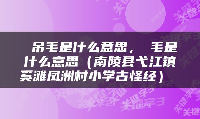  吊毛是什么意思，屌毛是什么意思（南陵县弋江镇奚滩凤洲村小学古怪经） 