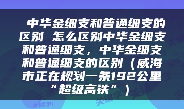  中华金细支和普通细支的区别 怎么区别中华金细支和普通细支，中华金细支和普通细支的区别（威海市正在规划一条192公里“超级高铁”） 