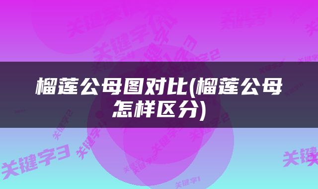 榴莲公母图对比(榴莲公母怎样区分)