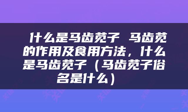  什么是马齿苋子 马齿苋的作用及食用方法，什么是马齿苋子（马齿苋子俗名是什么） 