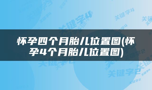 怀孕四个月胎儿位置图(怀孕4个月胎儿位置图)