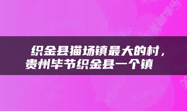  织金县猫场镇最大的村，贵州毕节织金县一个镇 
