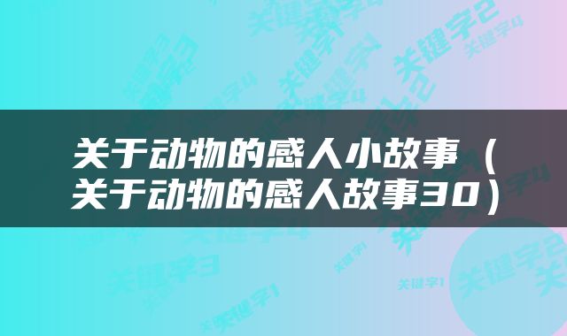 关于动物的感人小故事（关于动物的感人故事30）