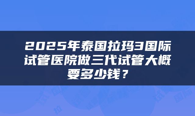 2025年泰国拉玛3国际试管医院做三代试管大概要多少钱？