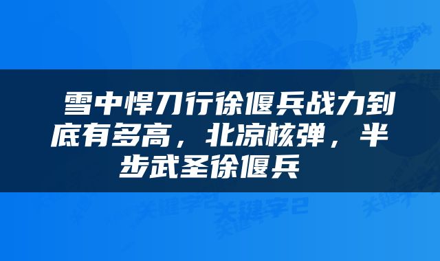  雪中悍刀行徐偃兵战力到底有多高，北凉核弹，半步武圣徐偃兵 