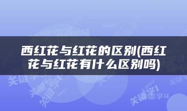 西红花与红花的区别(西红花与红花有什么区别吗)