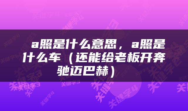  a照是什么意思，a照是什么车（还能给老板开奔驰迈巴赫） 
