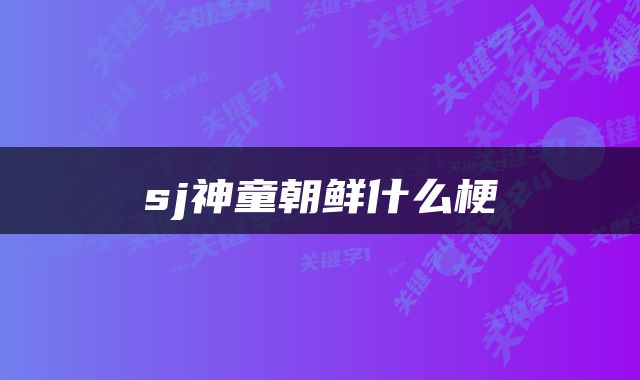 sj神童朝鲜什么梗