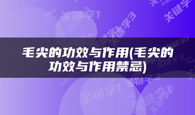 毛尖的功效与作用(毛尖的功效与作用禁忌)