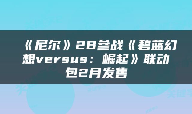 《尼尔》2B参战《碧蓝幻想versus：崛起》联动包2月发售