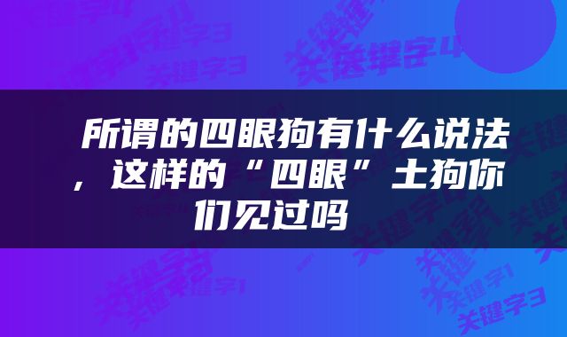  所谓的四眼狗有什么说法，这样的“四眼”土狗你们见过吗 