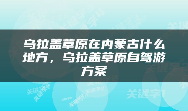 乌拉盖草原在内蒙古什么地方，乌拉盖草原自驾游方案