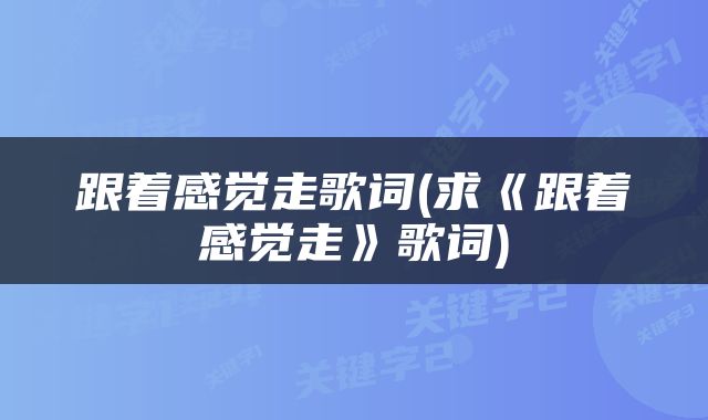 跟着感觉走歌词(求《跟着感觉走》歌词)