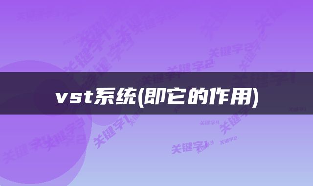 vst系统(即它的作用)