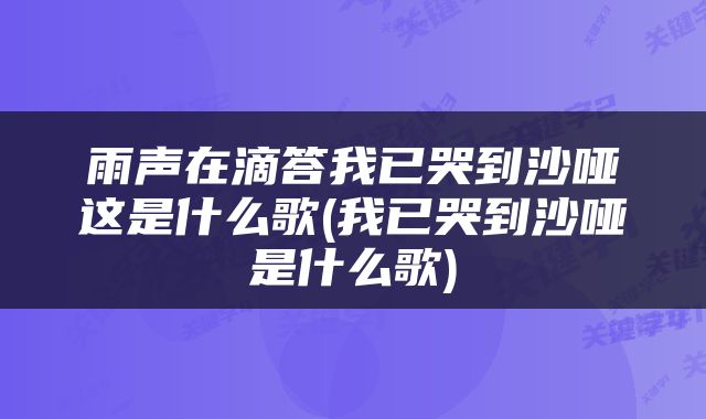 雨声在滴答我已哭到沙哑这是什么歌(我已哭到沙哑是什么歌)