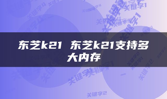 东芝k21 东芝k21支持多大内存